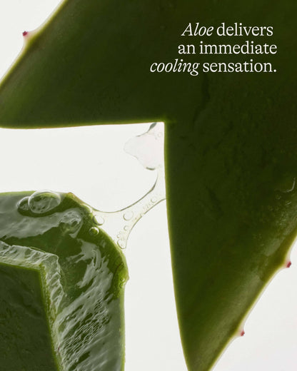 Agua Fresca - Cooling & Smoothing Eye Cream with Aloe & Guayusa