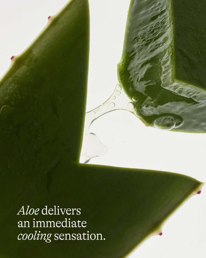 Agua Fresca - Cooling & Smoothing Eye Cream with Aloe & Guayusa